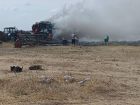 В Херсонской области сгорел комбайн, обгорел комбайнёр и выгорела сухая трава