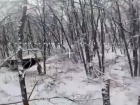 Купянск превратился для ВСУ в новые Крынки