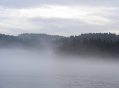 В Херсонской области 14 апреля ожидаются заморозки и туман