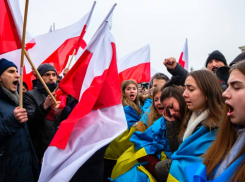 Новости СВО: украинцев выгоняют из Польши, «супероружие» ударило по Херсону и успехи группировки «Днепр»