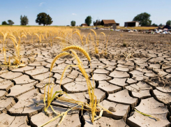 Сальдо отменил режим ЧС в агропромышленном комплексе в Херсонской области