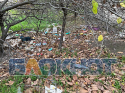 Дома с видом на свалку строят в Геническе напротив Роспотребнадзора