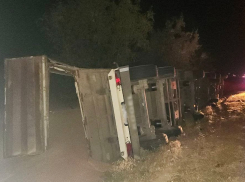 В ГАИ показали, что стало с фурой после аварии на трассе в Херсонской области