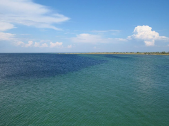 В Херсонской области природный парк «Джарылгач» оштрафовали за удержание зарплаты работника
