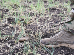 Боевики ВСУ разбросали противопехотные мины по берегу Днепра в Херсоне