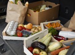 Более 500 ярмарок прошло в Херсонской области