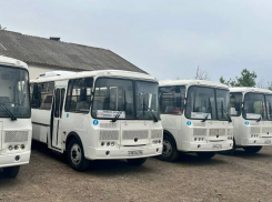 Минтранс Херсонской области ответил на претензии к состоянию остановок и расписанию