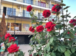 Роскошный пансионат с розами и бассейном на Арабатской стрелке продают за 160 млн