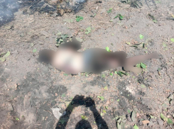 СК проведёт расследование после гибели трех человек от обстрелов Херсонщины ВСУ