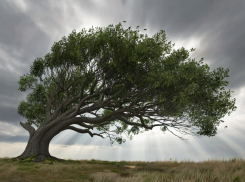 До 22 метров в секунду: в Херсонской области объявлено штормовое предупреждение