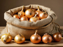 7 млн под «луковым соусом»: херсонский фермер получил незаконную субсидию