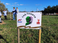 В память о херсонских бойцах появилась аллея 