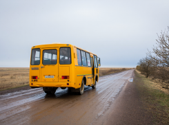 Детей в Херсонской области бесплатно будут возить в школы и обратно