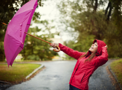 В Херсонской области 4 мая ожидаются порывы ветра до 11 м/c
