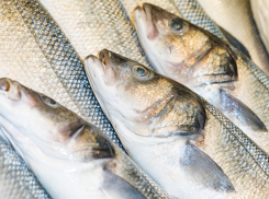 Россельхознадзор не нашёл загрязнений в пробах рыбы из Херсонской области
