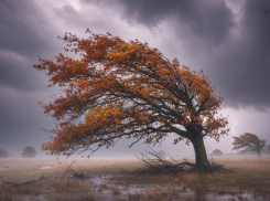 На Херсонщину обрушится ураганный ветер 17 ноября