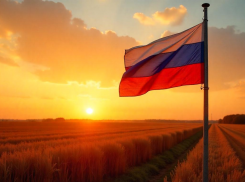 Российский триколор в посёлке под Херсоном оказался шуткой бойцов группировки войск «Днепр»