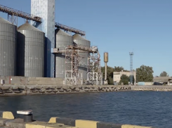 Скадовские портовики пожаловались на долги по зарплате