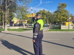 Водителям Херсонской области грозит лишение прав за украинские номера с 1 января