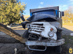 Пьяный херсонец угнал грузовик для «покатушек» и врезался в дерево