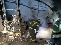 Спасатели показали сгоревший на трассе Херсонской области грузовик