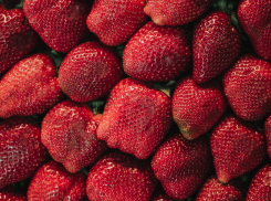 В Новокаховском округе начался сезон сбора клубники