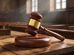 В Херсонской области через фермы-однодневки перевели 160 миллионов рублей