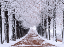 Аллея памяти в Вольном: жители Херсонской области продолжат чтить память своих дедов