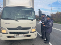 В Херсонской области обнаружили более 300 кг опасной мясной продукции