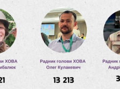 Советники губернатора Херсонской области за октябрь заработали почти 400 тысяч рублей