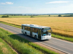 В Херсонской области появятся новые рейсы до Москвы и Ростова-на-Дону