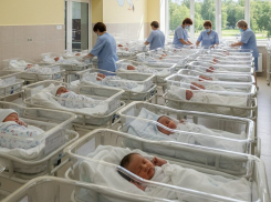 На Херсонщине за неделю появились на свет 15 малышей, включая двойню