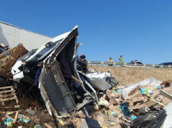 Столкновение грузовиков и «Газели» в Сальково унесло жизнь водителя фуры
