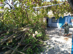 Дрова есть, сил нет: пенсионерам Каховки развезли помощь, но забыли о главном