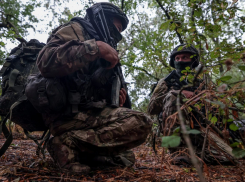 Новые выплаты до миллиона рублей для участников СВО ввели в Херсонской области