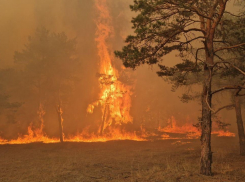 В Херсонской области из-за атаки ВСУ пострадали 7 человек