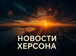 Новости Херсона: судьба предателя, клубничная луна и поиски хозяина собаки