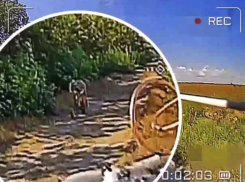 На видео попал момент спасения херсонца от военкомов российским дроном