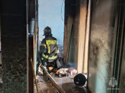 Пожар селе Херсонской области унес жизнь пенсионерки