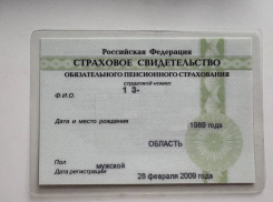 Мошенники начали взламывать «Госуслуги» херсонцев от лица пенсионного фонда