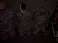 Новости СВО: захват Запорожья, массовая сдача в плен под Херсоном и город-бордель ВСУ