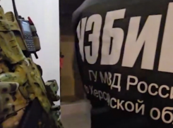 В Херсонской области накрыли чёрный рынок зерна с оборотом 150 млн рублей