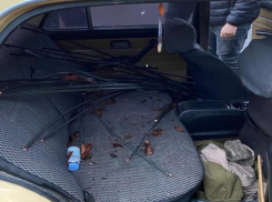 Двух херсонцев задержали за кражу проводов на почти четыре млн рублей