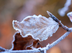 В Херсонской области 3 марта потеплеет до +4