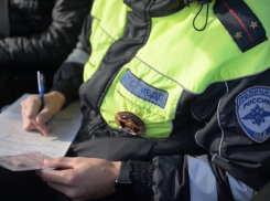 Госавтоинспекторы Херсонской области поймали 23 водителя без прав за выходные