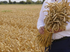 Херсонского фермера уличили в афере на 1 млн рублей 