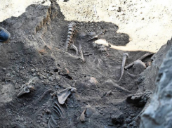 В Геническе нашли останки более 300 мирных жителей, расстрелянных в годы войны