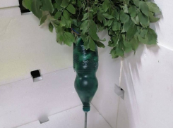 В Херсонской области ВСУ маскируют мины под траву и кусты