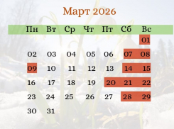 В марте жителей Херсонщины ожидают длинные выходные