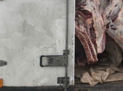 На Херсонщину пытались завезти небезопасные мясо, рыбу и сыр